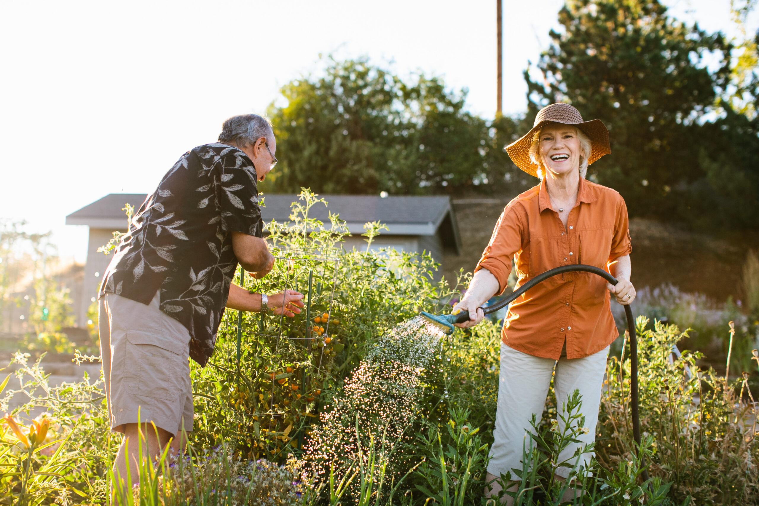 Two happy older adults tend to a garden.