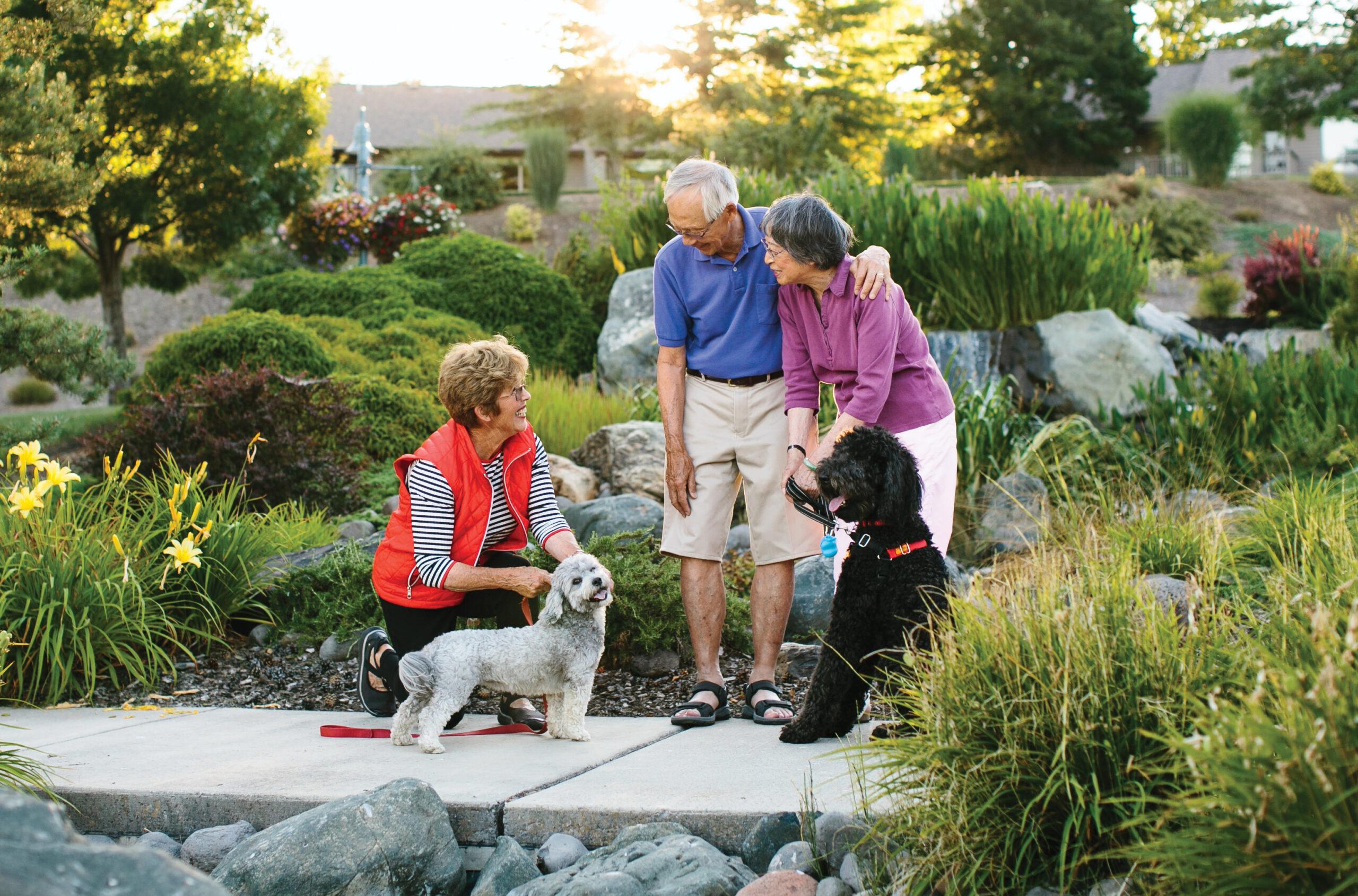 Three people gather with their dogs in front of a garden area.