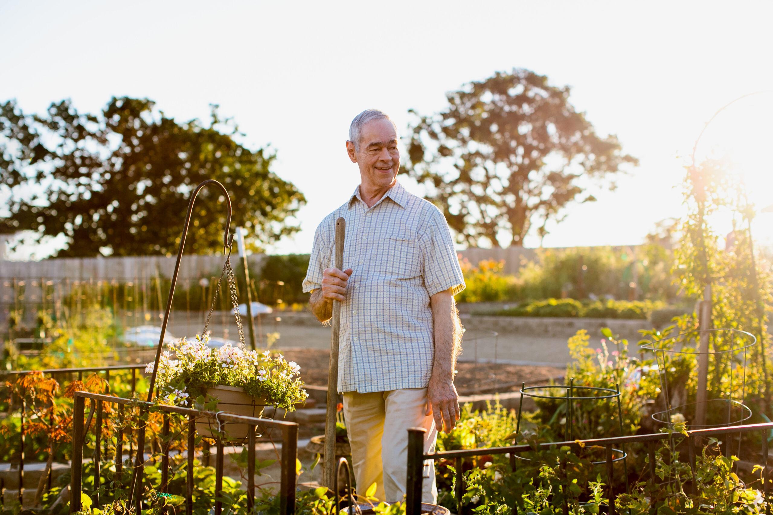 A happy man tends to a community garden.